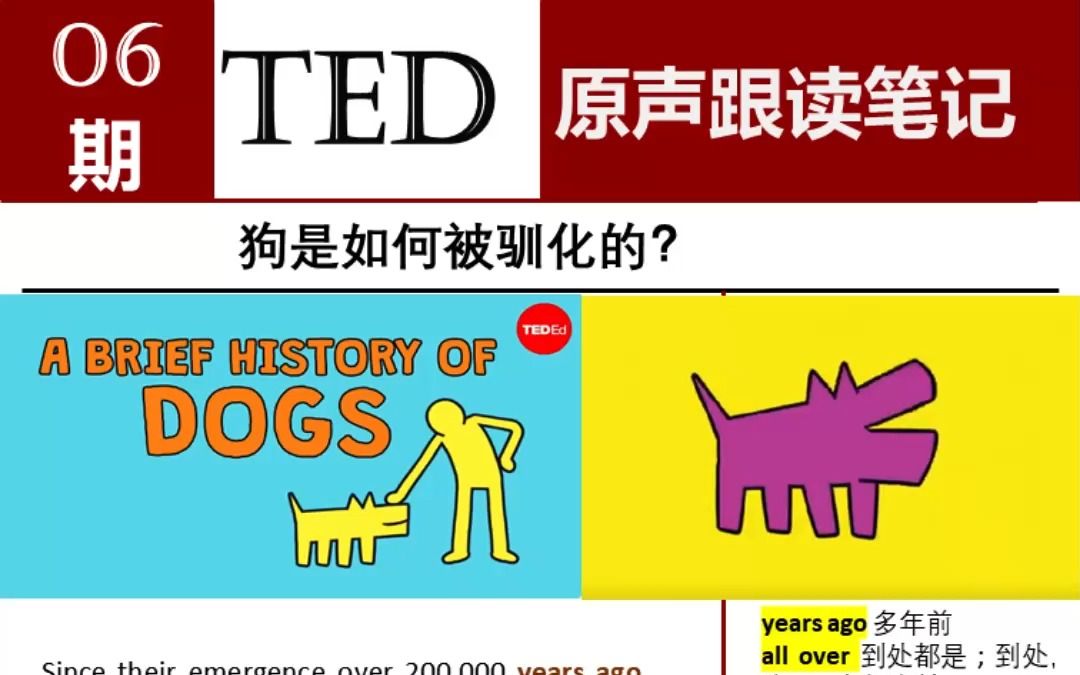 【TED原声跟读笔记】狗是如何被驯化的？（中英字幕）