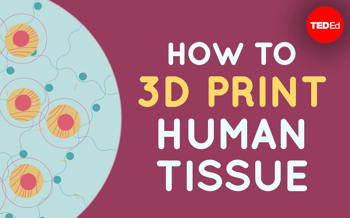 【TED科普】如何3D打印人体组织？（中英字幕）